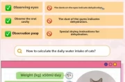 How to Make Your Cat Drink More Water: Proven Solutions from Feline Experts