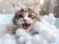 When Can You Bathe a Newborn Kitten? Essential Care Tips from a Feline Expert