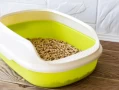 The Ultimate Guide to Cat Litter Maintenance: How Often Should You Really Change It?