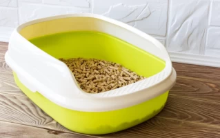 The Ultimate Guide to Cat Litter Maintenance: How Often Should You Really Change It?