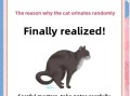 Why Is My Kitten Peeing and Pooping Outside the Litter Box? 7 Common Reasons and Solutions