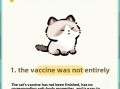 7 Situations When You Should Never Bathe Your Cat (And Why It’s Crucial!)