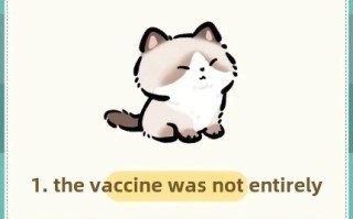 7 Situations When You Should Never Bathe Your Cat (And Why It’s Crucial!)