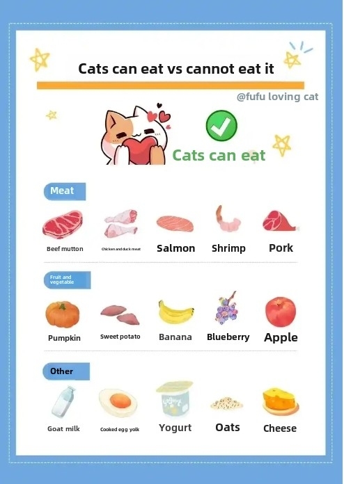 Best Foods for Cats: A Veterinarian’s Guide to Optimal Feline Nutrition