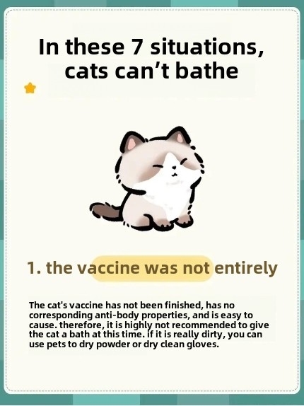 7 Situations When You Should Never Bathe Your Cat (And Why It’s Crucial!)