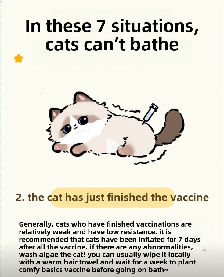 7 Situations When You Should Never Bathe Your Cat (And Why It’s Crucial!)