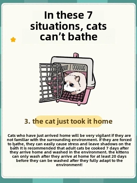 7 Situations When You Should Never Bathe Your Cat (And Why It’s Crucial!)