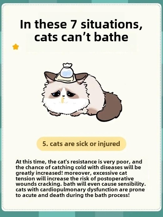 7 Situations When You Should Never Bathe Your Cat (And Why It’s Crucial!)