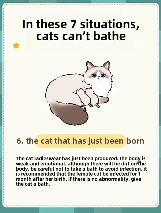 7 Situations When You Should Never Bathe Your Cat (And Why It’s Crucial!)