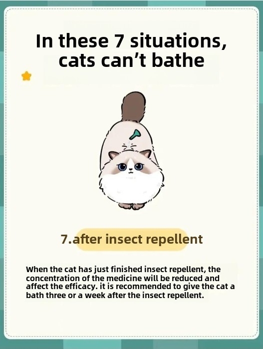 7 Situations When You Should Never Bathe Your Cat (And Why It’s Crucial!)