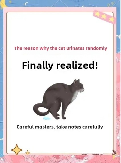 Why Is My Kitten Peeing and Pooping Outside the Litter Box? 7 Common Reasons and Solutions