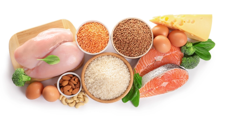 The Ultimate Guide to Reducing Cat Shedding: Top 7 Foods to Feed Your Feline