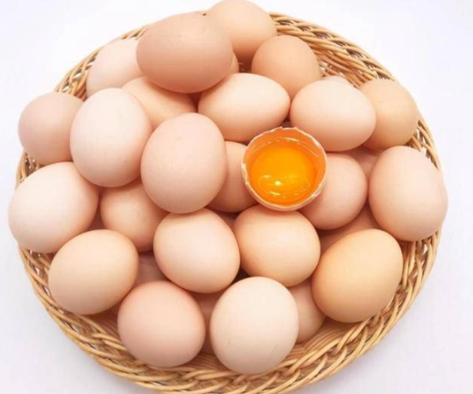 The Ultimate Guide to Reducing Cat Shedding: Top 7 Foods to Feed Your Feline