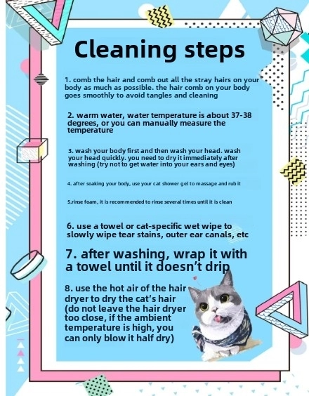 When Can You Bathe a Newborn Kitten? Essential Care Tips from a Feline Expert