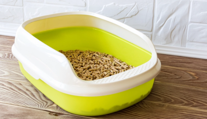 The Ultimate Guide to Cat Litter Maintenance: How Often Should You Really Change It?
