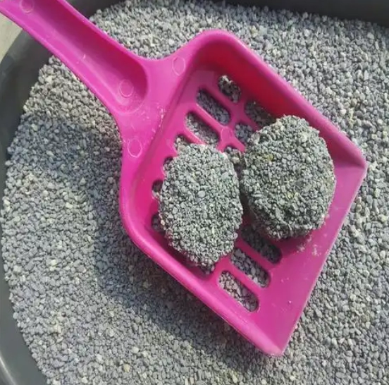 The Ultimate Guide to Cat Litter Maintenance: How Often Should You Really Change It?